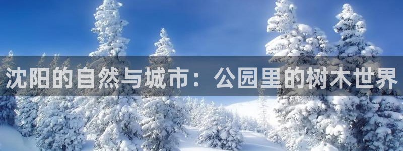 摩根娱乐创始人:沈阳的自然与城市:公园里的树木世界