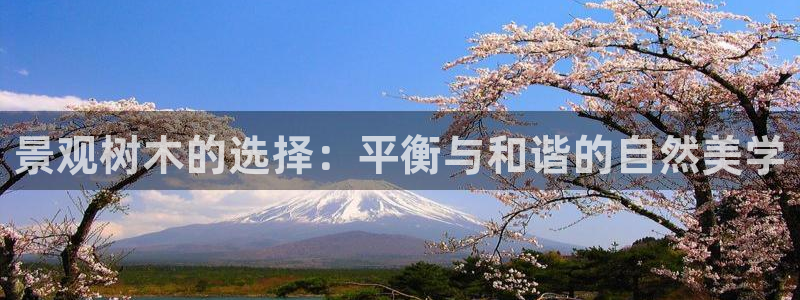 娱乐解说摩根王者荣耀:景观树木的选择:平衡与和谐的自然美学