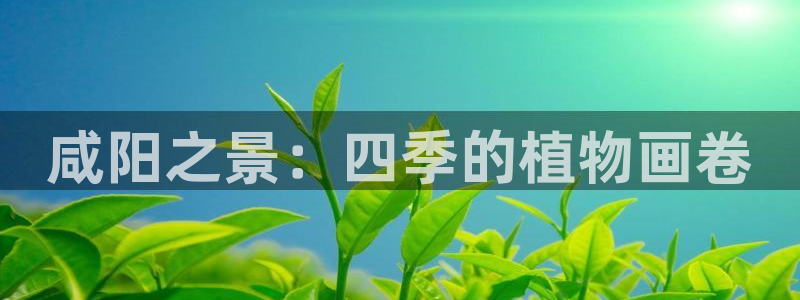 摩根国际娱乐宝进不去:咸阳之景:四季的植物画卷